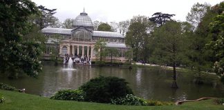 Madrid Kitap Festivali