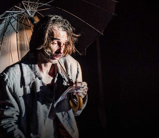 Bir Delinin Hatıra Defteri Anadolu Turnesinde