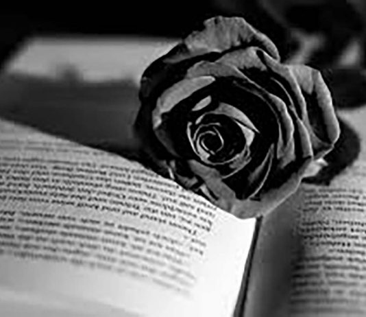 Kuyucaklı Yusufun Muazzezi